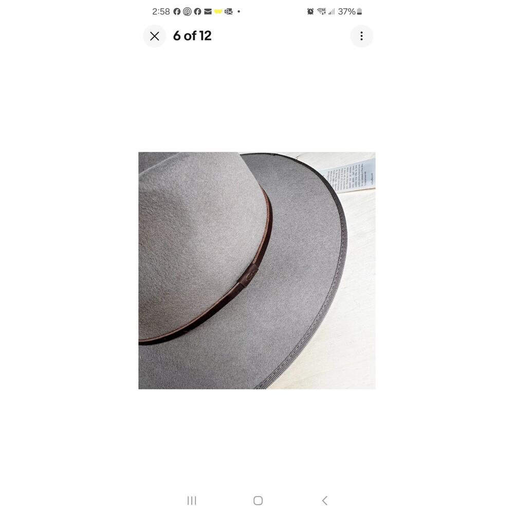 Will + Bear Unisex Medium Hat Calloway Fawn 100% Wool Wide Brim MSRP $119 NWT - Picture 3 of 6
